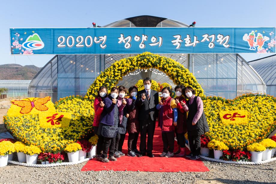 201110_2020년 청양의 국화정원_0003