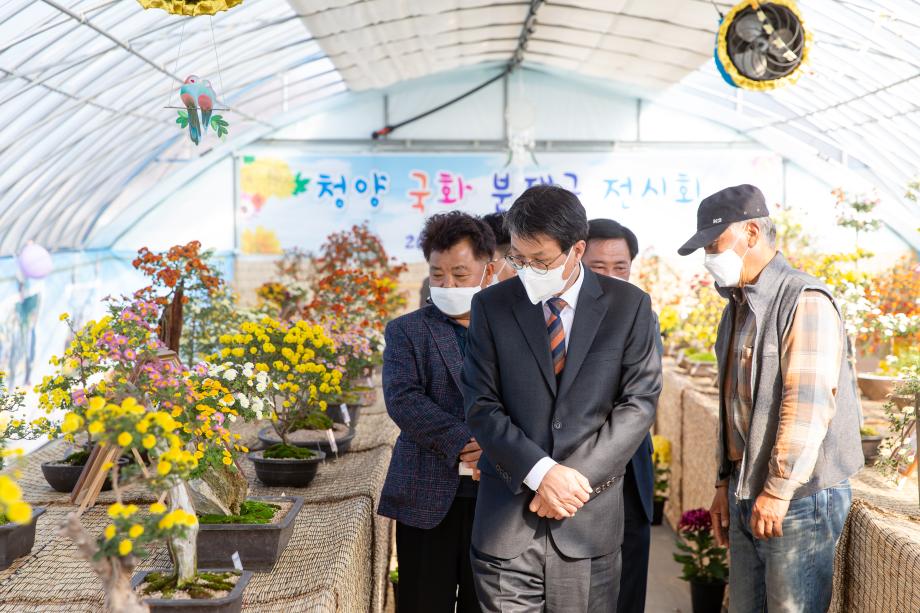 201110_2020년 청양의 국화정원_0006