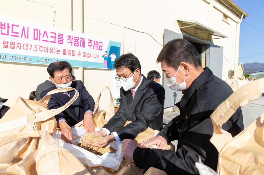 201111_공공비축 벼 수매  현장_0003