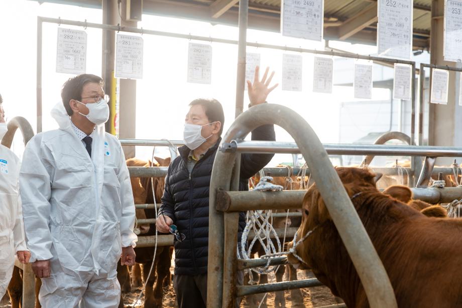 201113_한우 송아지 경매시장 현장 방문_0004