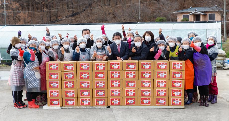 201124_지역자활센터 사랑의 김장 담그기_0003