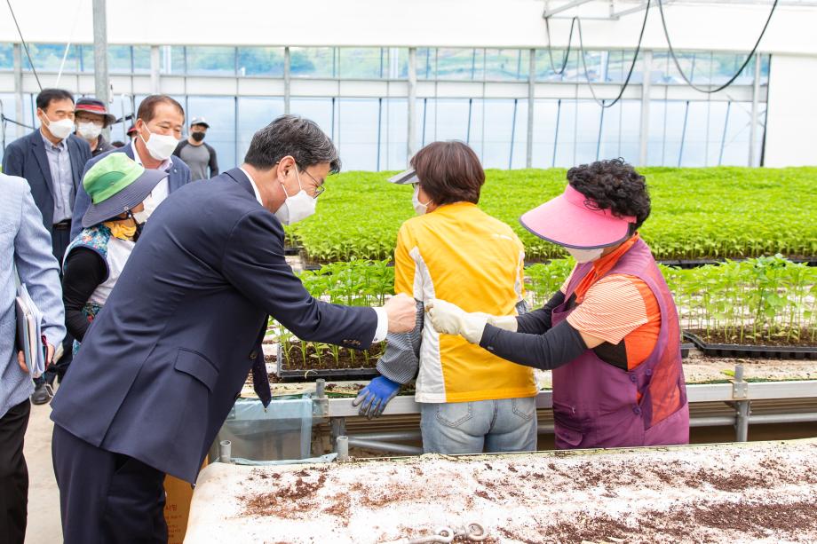 210427_다목적 육묘장 방문_0002