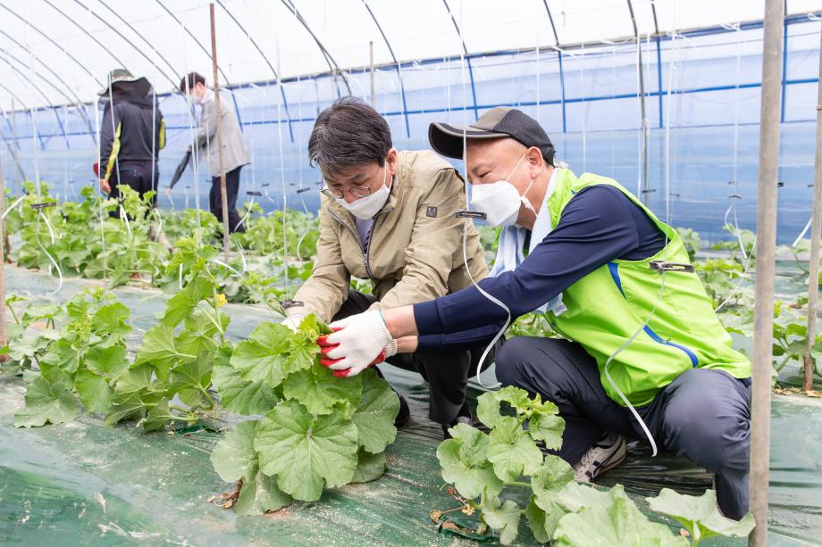 210520_NH 농협 청양군지부, 충남도립대 농촌일손돕기 현장 방문_0003