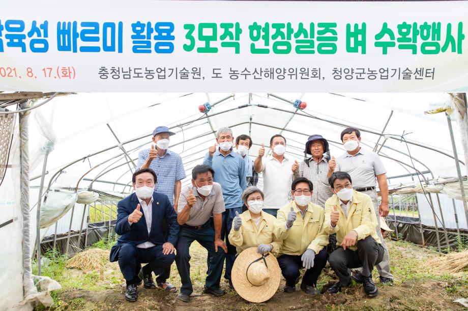 210817_빠르미 수확 시연회_0021
