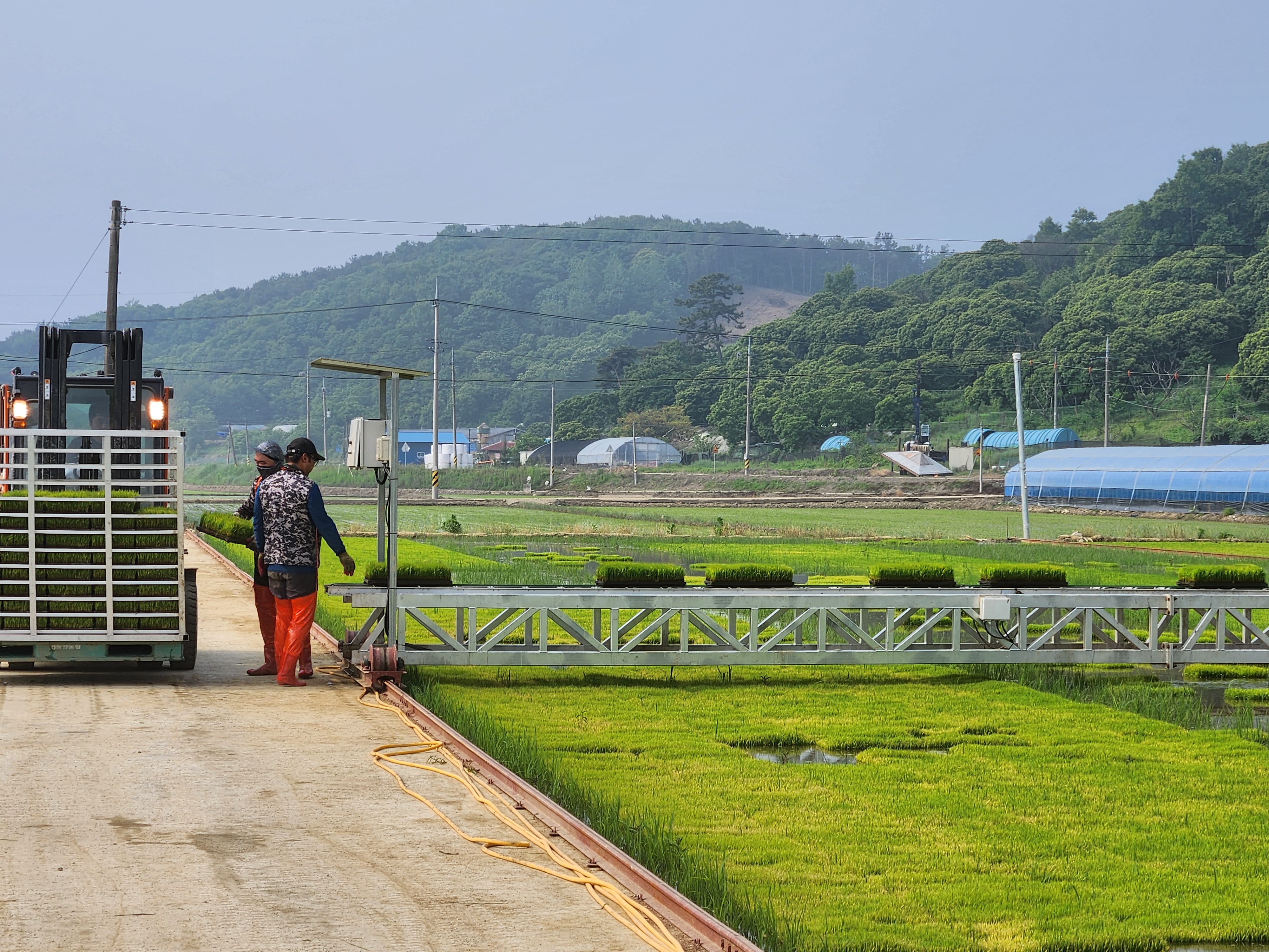 청양군, 벼 육묘 자동화 지원으로 인건비 획기적 절감