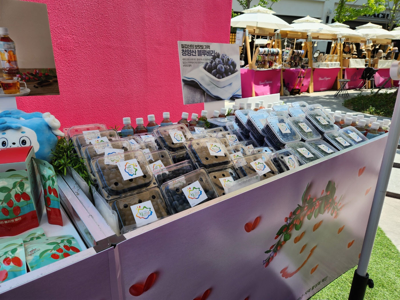 사본 -사진(청양군, 현대 프리미엄 아웃렛 방문객에게 지역 농특산물 선보여1)