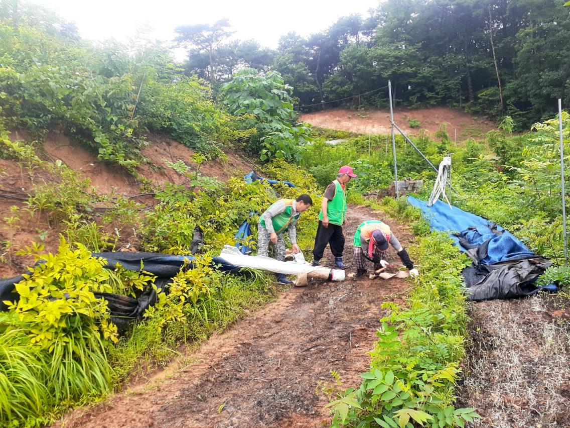 청양군 지역자율방재단 활동사진