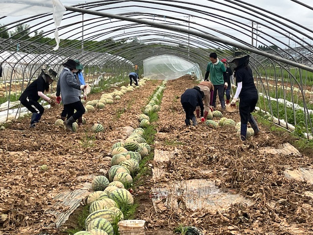 청남면 주민자치회, 논산시 수해복구 지원
