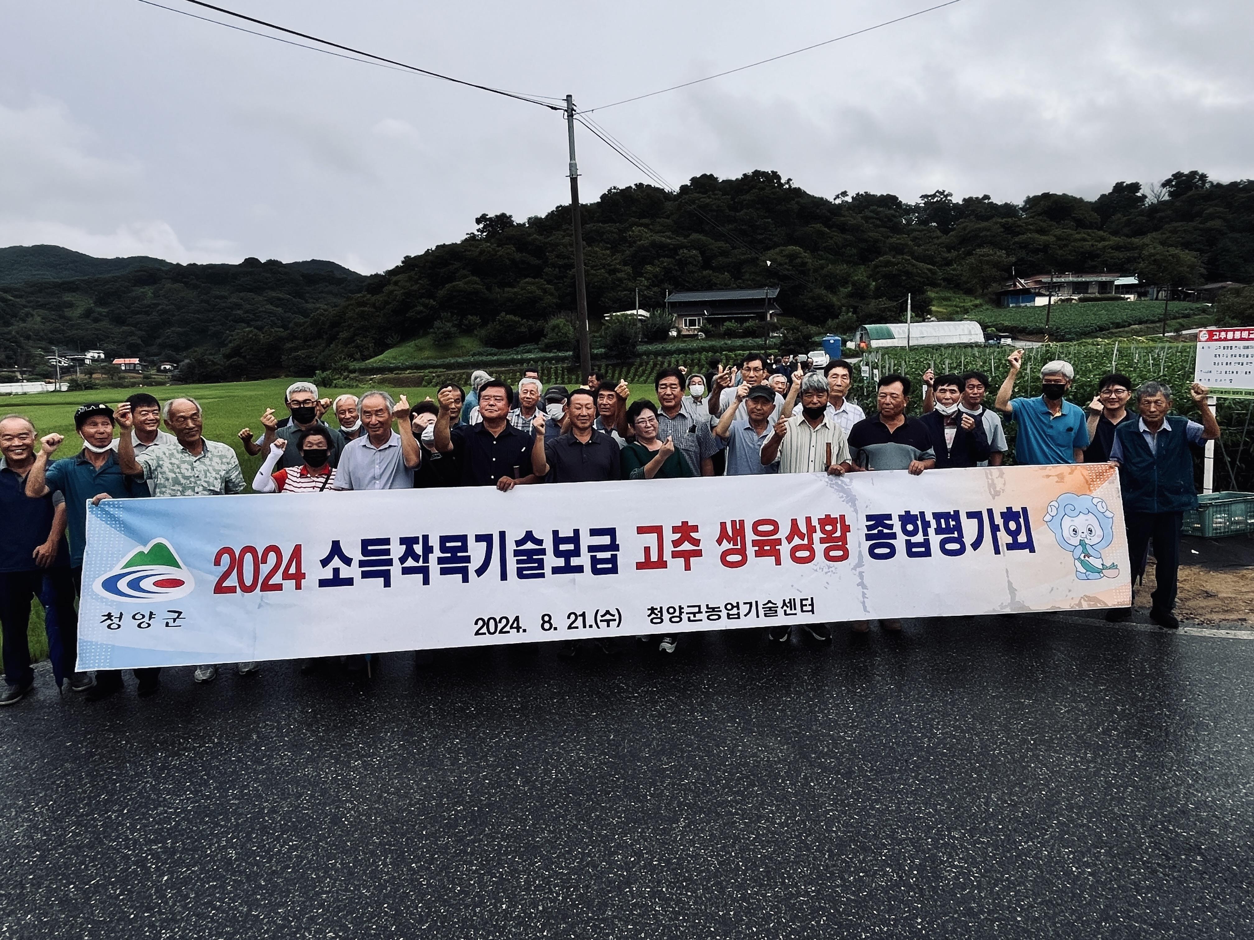 2024 고추 생육상황 종합 평가회