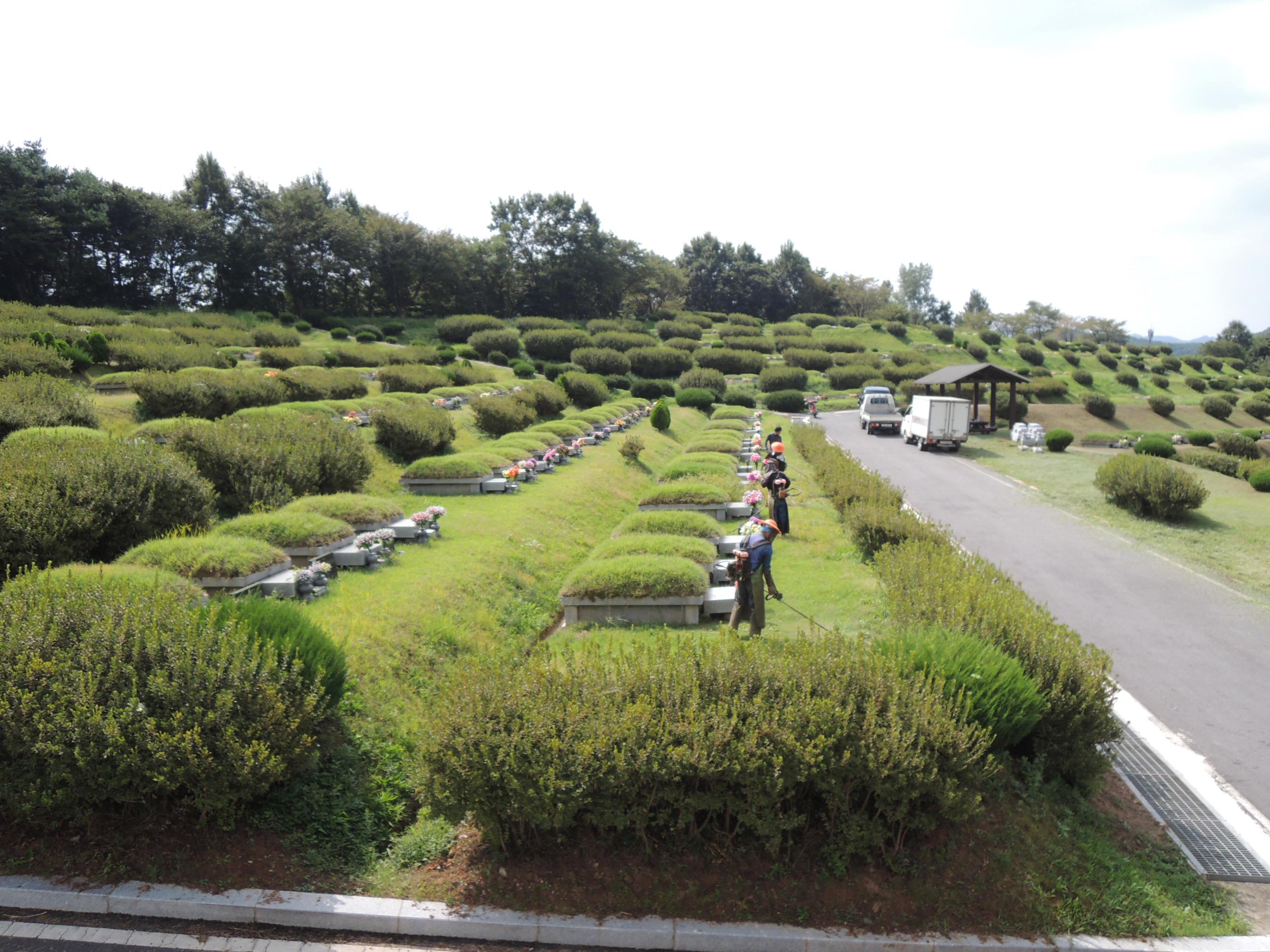 청양군 추모공원 추석 명절맞이 환경 정비