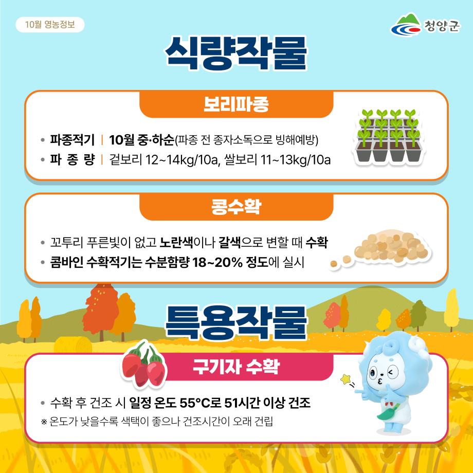 KakaoTalk_20240927_101641143_03