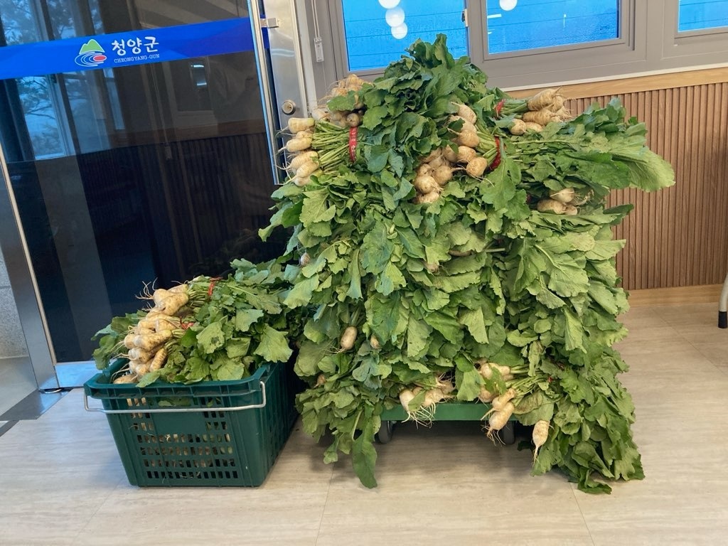 열무 기부 사진