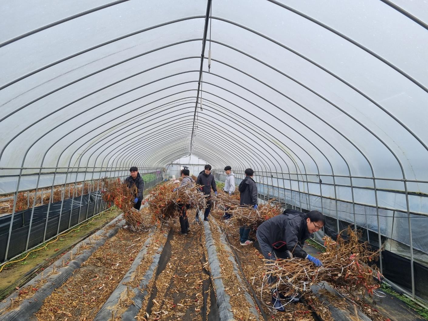 농업기술센터 농촌일손돕기