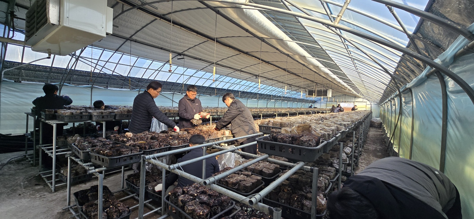 맑은물사업소(가을철 공직자 농촌일손돕기).jpeg