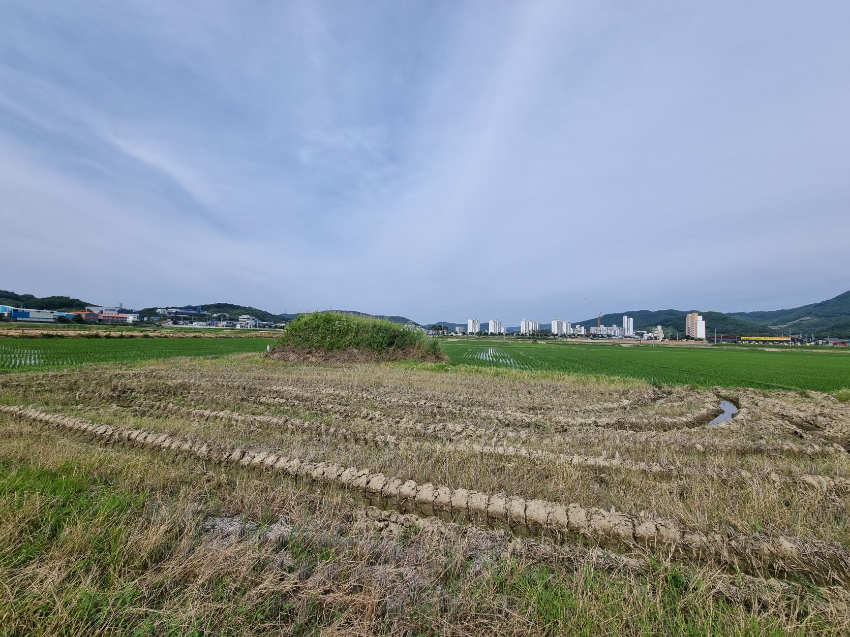 청양 지명의 상징, ‘청양 고리섬’ 향토유적 지정 2