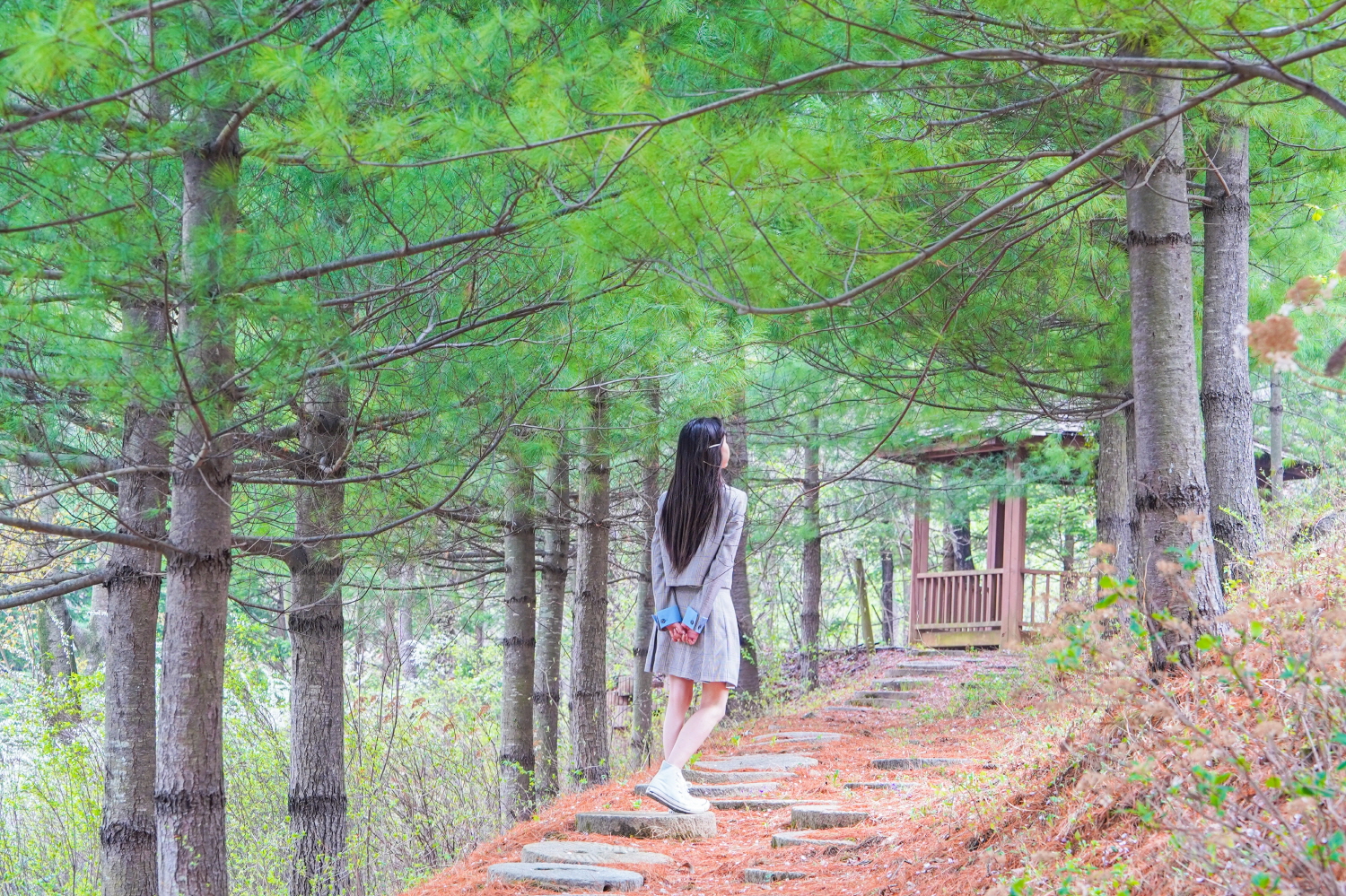 3. 청양군, 봄맞이 팸투어로 ‘청양의 봄’ 전국에 알린다(1)