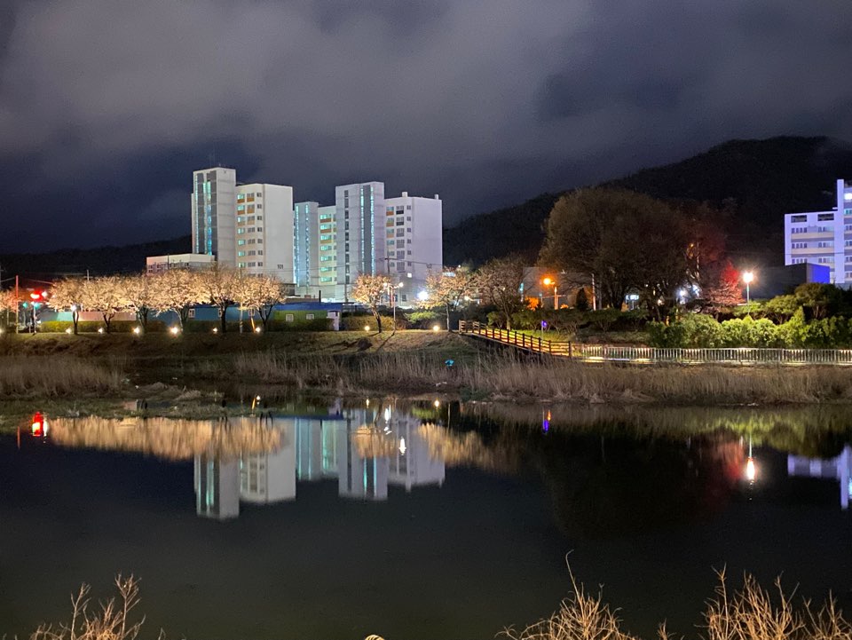 3. 백세·지천생태공원 야간에도 빛나는 도시 속 힐링공간 마련(2)