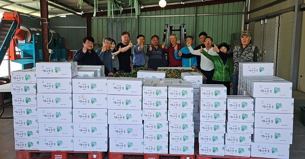 2. 청양군 비봉산 선도산림경영단지 엄나무 순 수확 공동 출하준비 완료 (2)