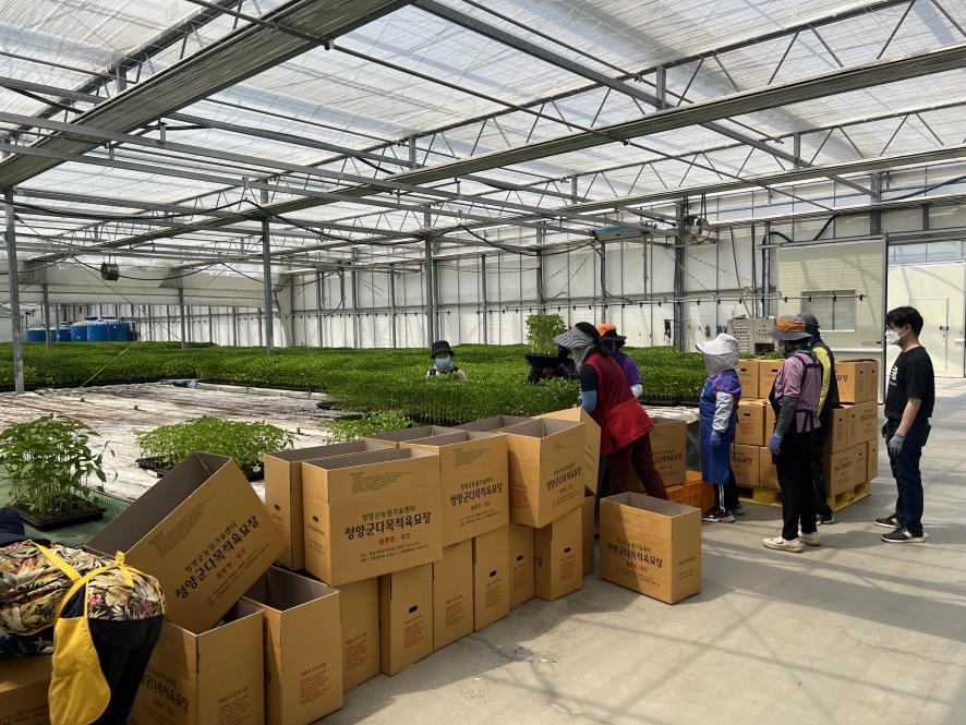 3. 청양군  고추묘 육묘에서 배송까지 한번에