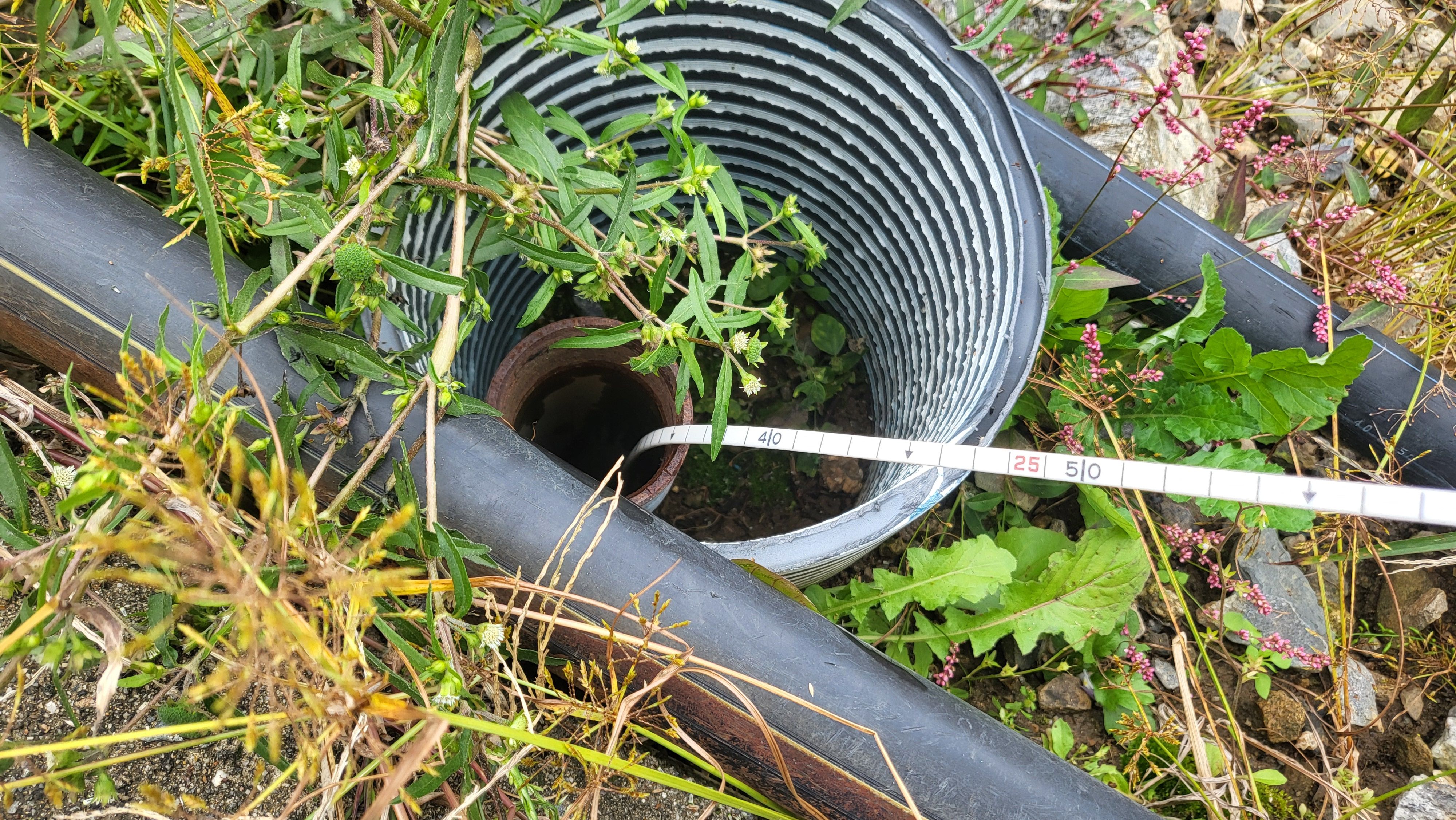 4. 청양군, 지하수 오염 방지를 위한 방치공 찾기 운동 전개