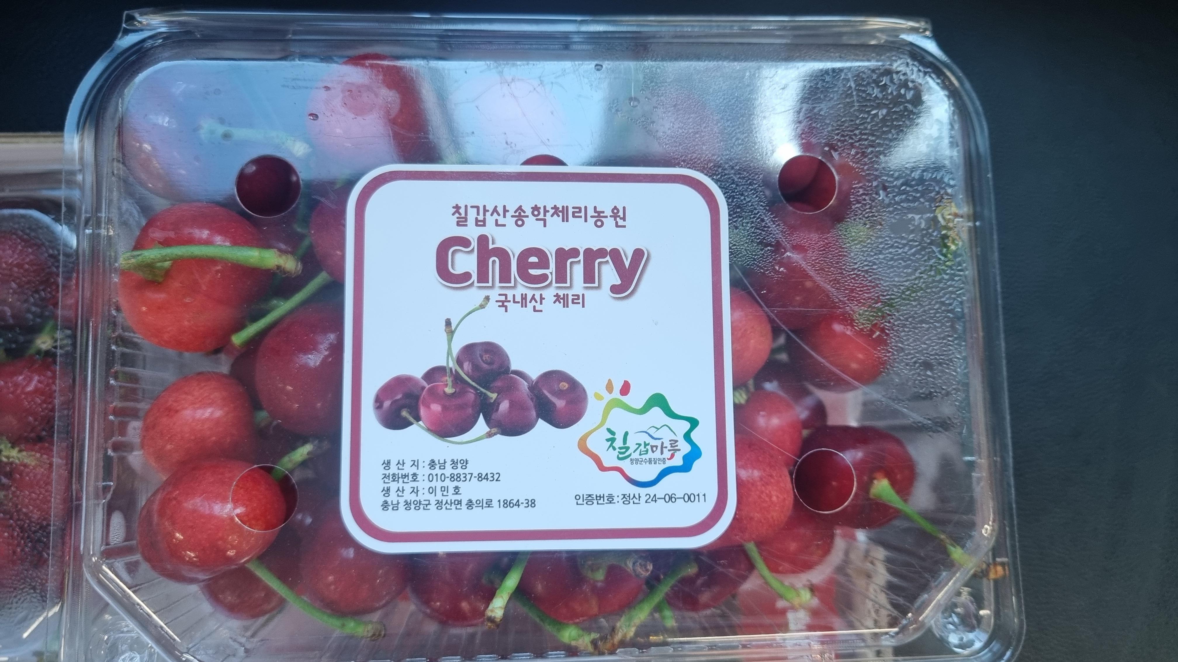 3. 한여름에 만나는 탱글탱글 청양산 체리 (2)