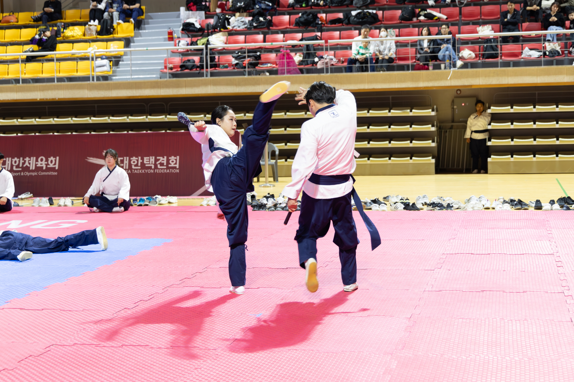 1. 청양의 반격은 스포츠였다 (6) 제21회 문체부장관기 전국택견대회