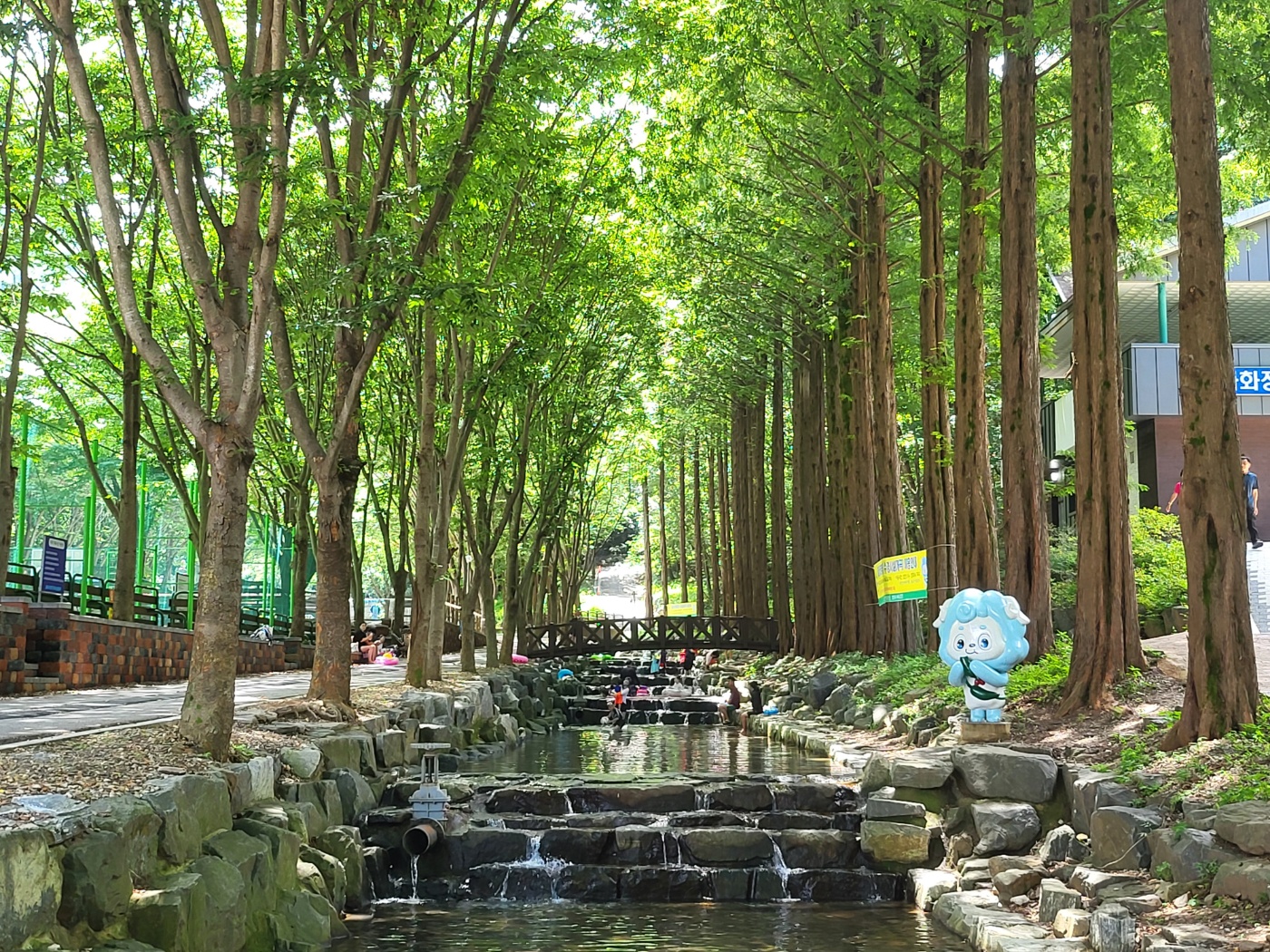 4. 칠갑산자연휴양림 새 단장 마치고 여름철 개장.JPG