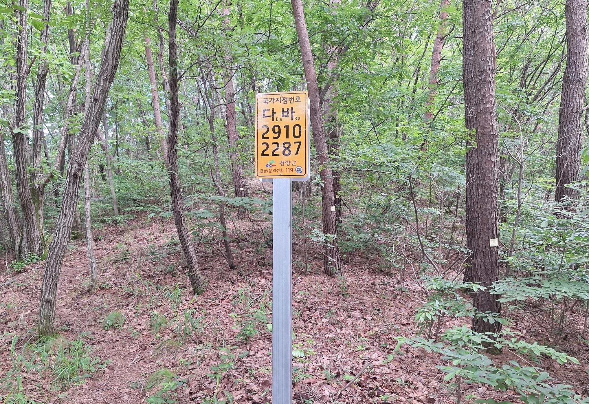 3.청양군  금북정맥 등산로에 ‘국가지점번호판’ 20개소 설치