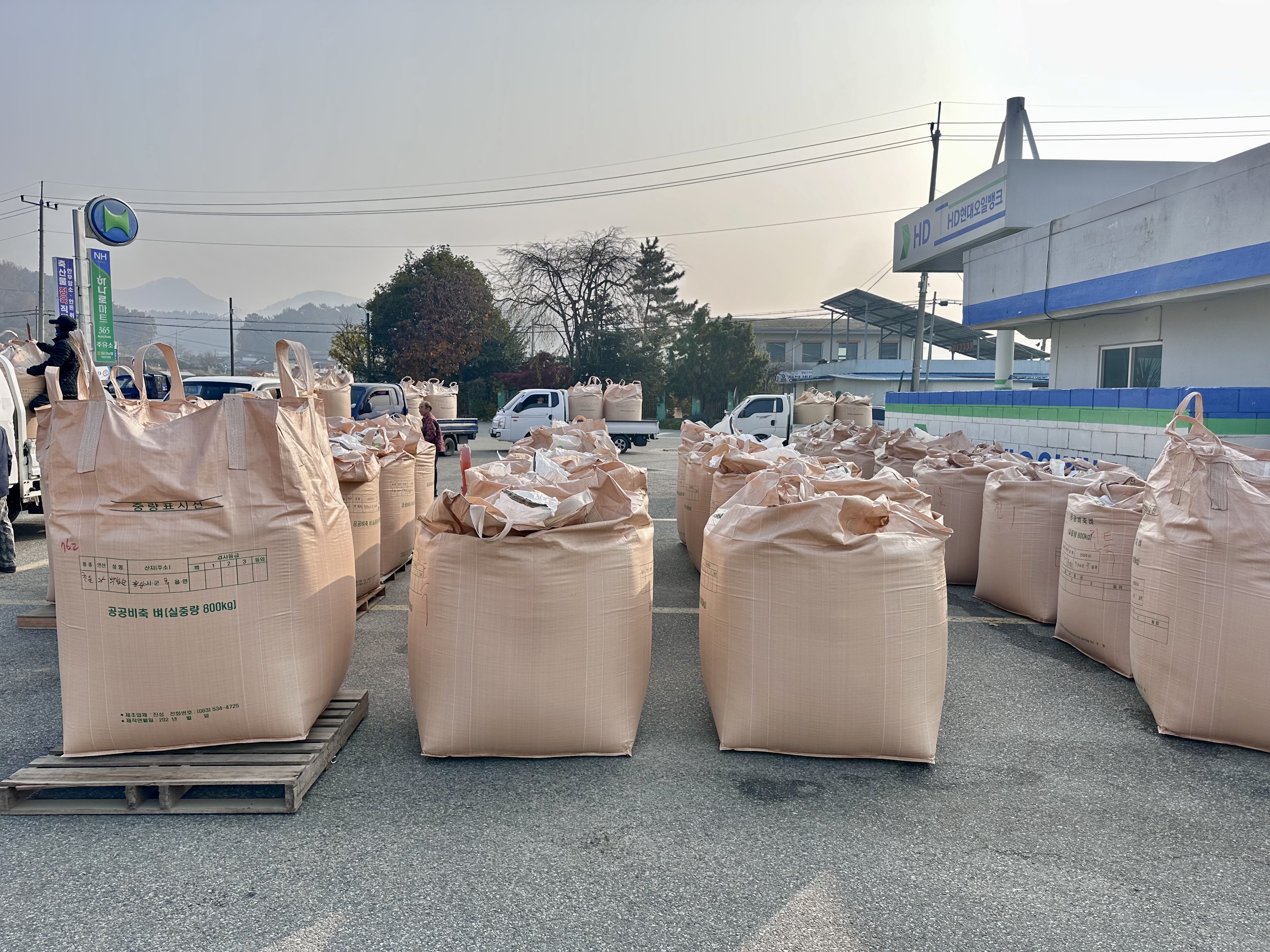 2. 청양군  2025년산 공공비축미곡 4 007톤 매입(1)