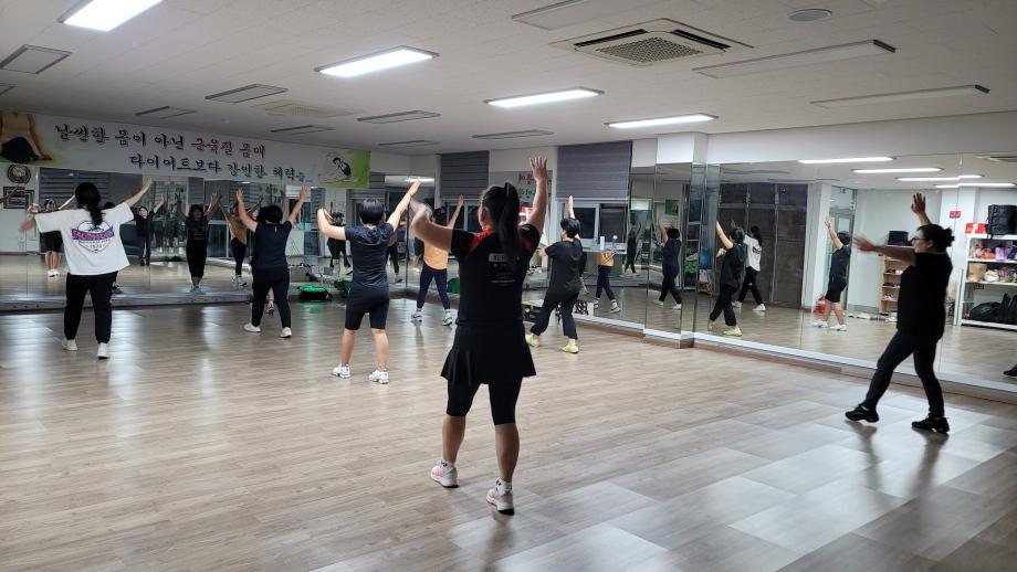 밸리댄스