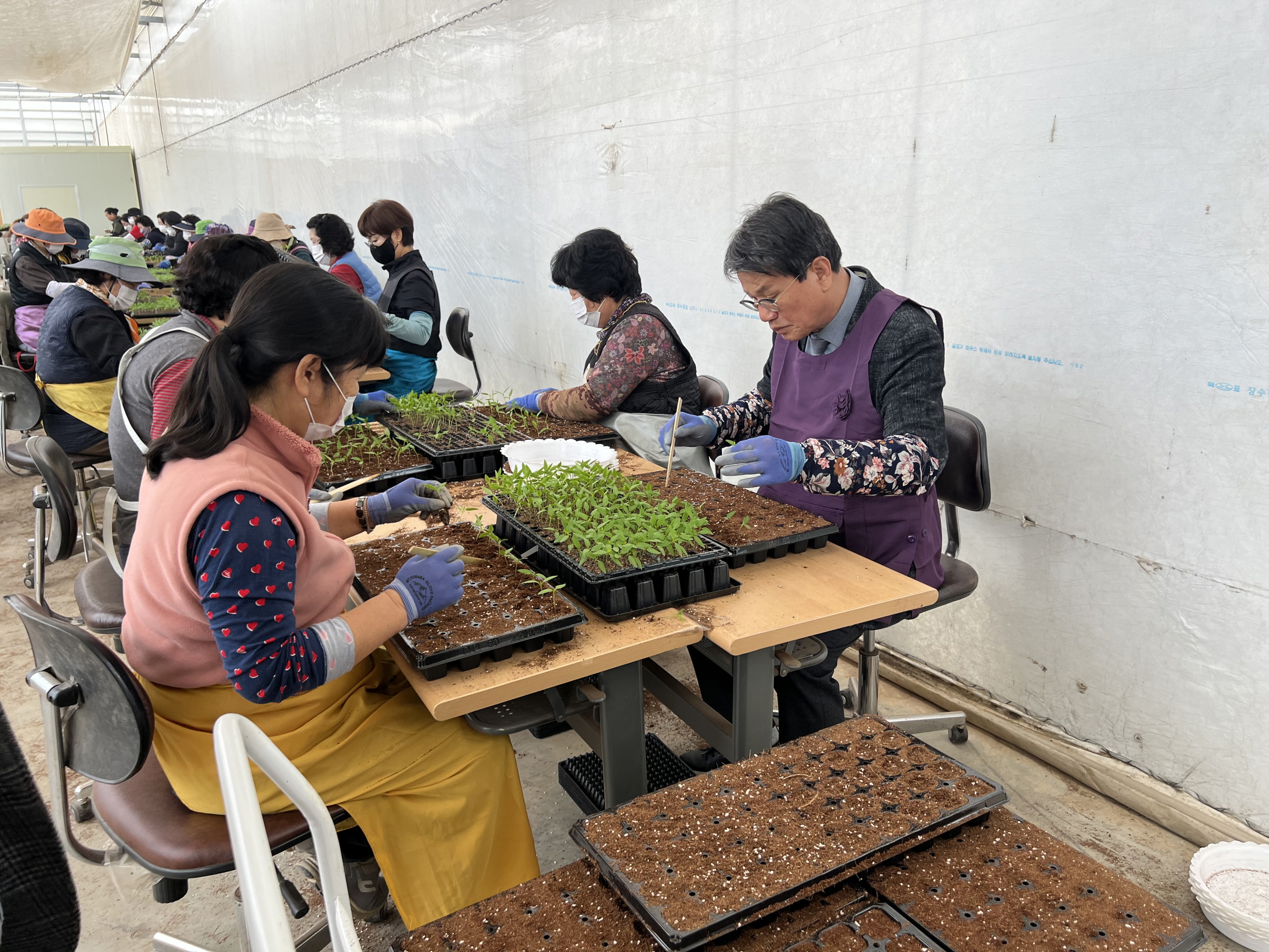 5. “농업인 여려분 정식만 하세요! 건강한 묘는 저희가 만듭니다.”