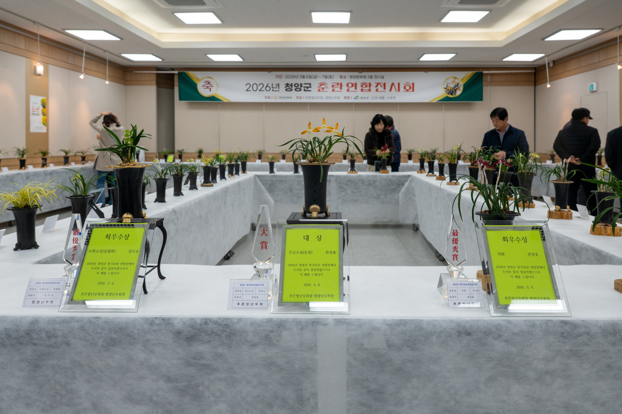 4. 청양에 퍼지는 은은한 난향 ‘2026 춘란연합전시회’ 개막(2)