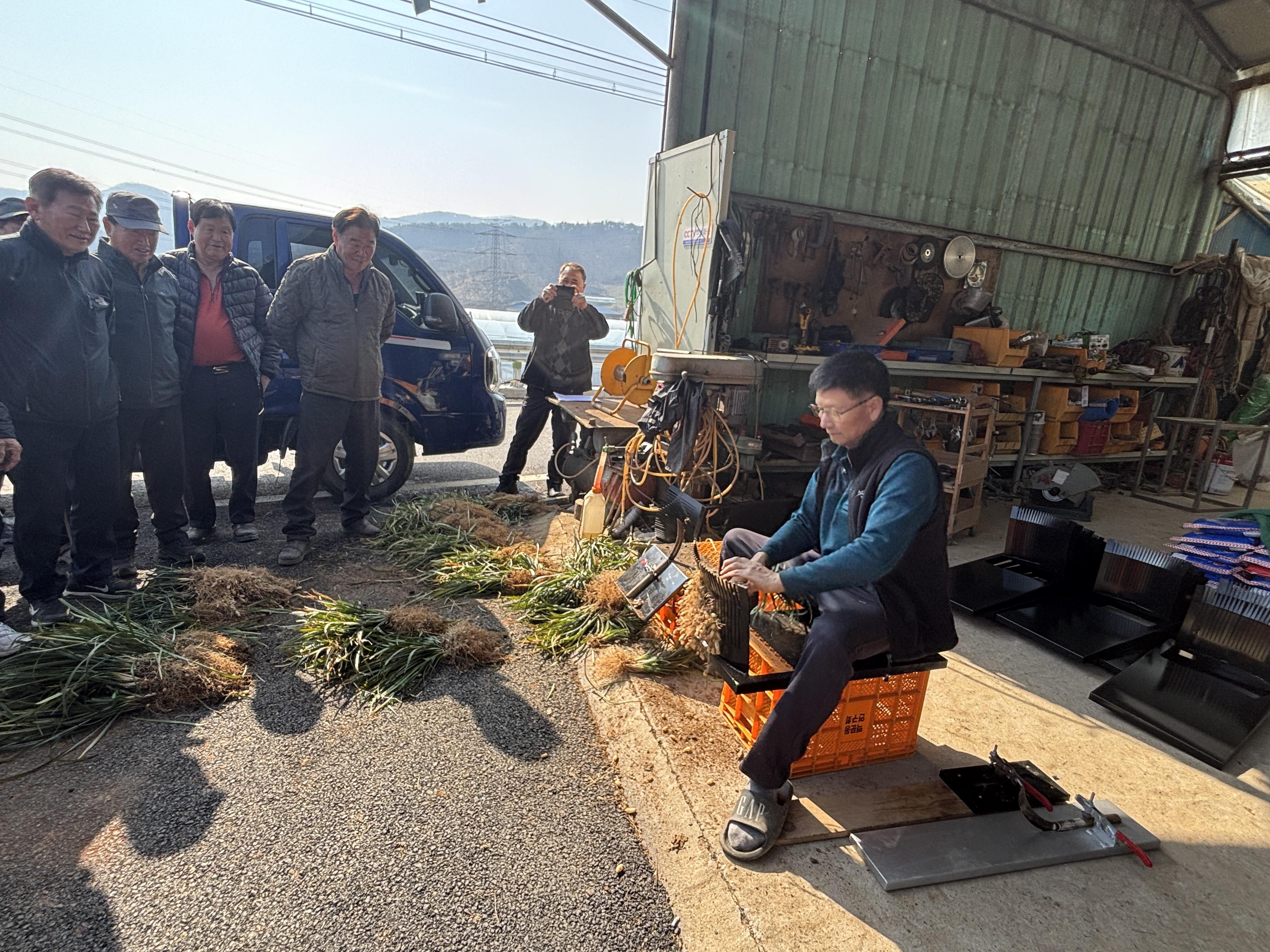 5. 청양 맥문동연구회  수확 전 작황 점검 및 노동력 절감 수확 도구 시연