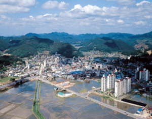 군이 빈곤층 찾아내, 적극 보호