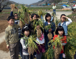 “맥문동이 어우러진 축제의 향연으로”