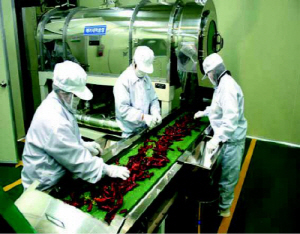 청양고춧가루 군대간다