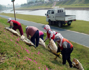 청양군 ‘희망근로 프로젝트 효과’ 톡톡