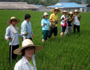 대학생들, 청양으로 농촌봉사활동 나서