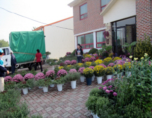 왕진리 보건진료소 가을향기 배달!