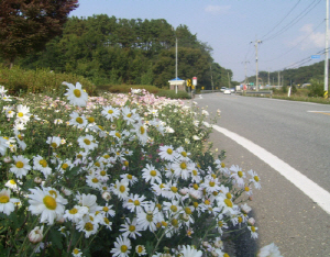 청양의 길목에서 가을을 만나다