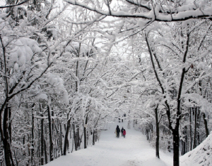 칠갑산에 눈꽃이 ‘활짝’