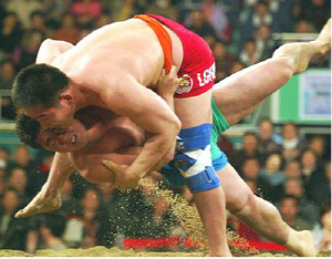 2010 전국청양장사 씨름대회 개최