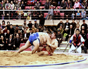 2010 청양장사 씨름대회 성료