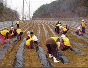 “일하는 삶이 즐겁다”