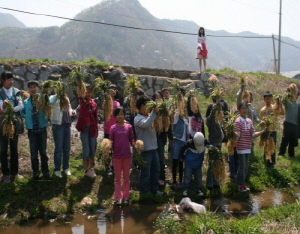 “맥문동이 어우러진 축제의 향연으로”
