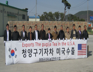 청양구기자차 미국에서 인기 ‘짱’