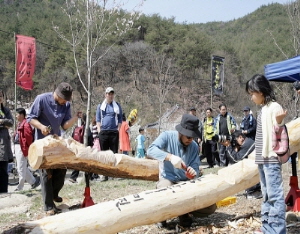 장승과 벚꽃이 어우러진 특별한 만남