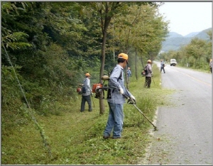 청양군 추석맞이 도로정비 추진
