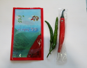 “청양고추 먹고 졸음 날려버리자”