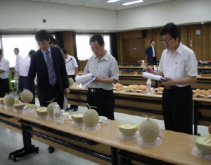 칠갑산어얼스멜론, 전국 으뜸과채 최고명품으로 ‘우뚝’